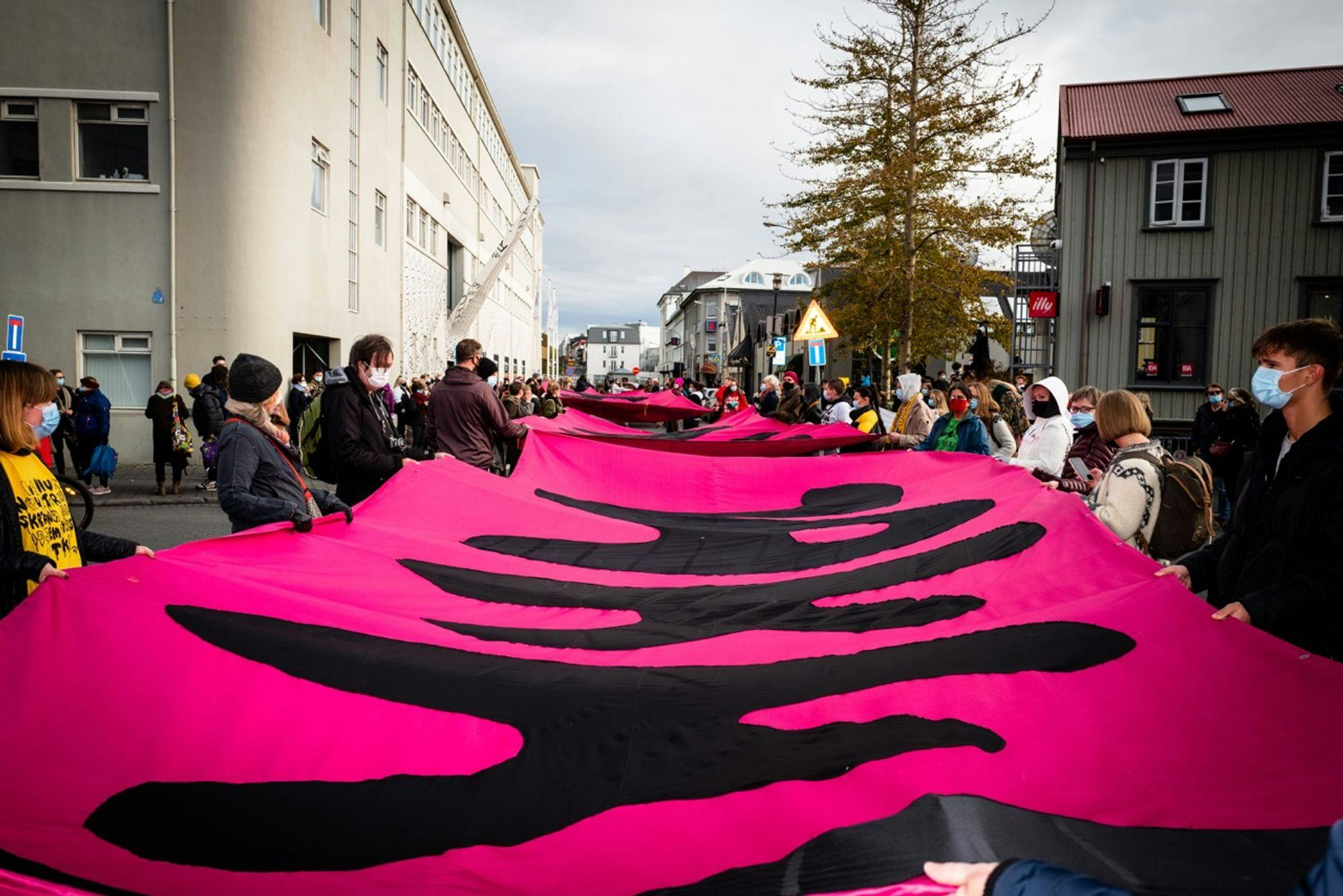 Magic Team In Search of Magic – A Proposal for a New Constitution for The Republic of Iceland. Photo: Owen Fiene