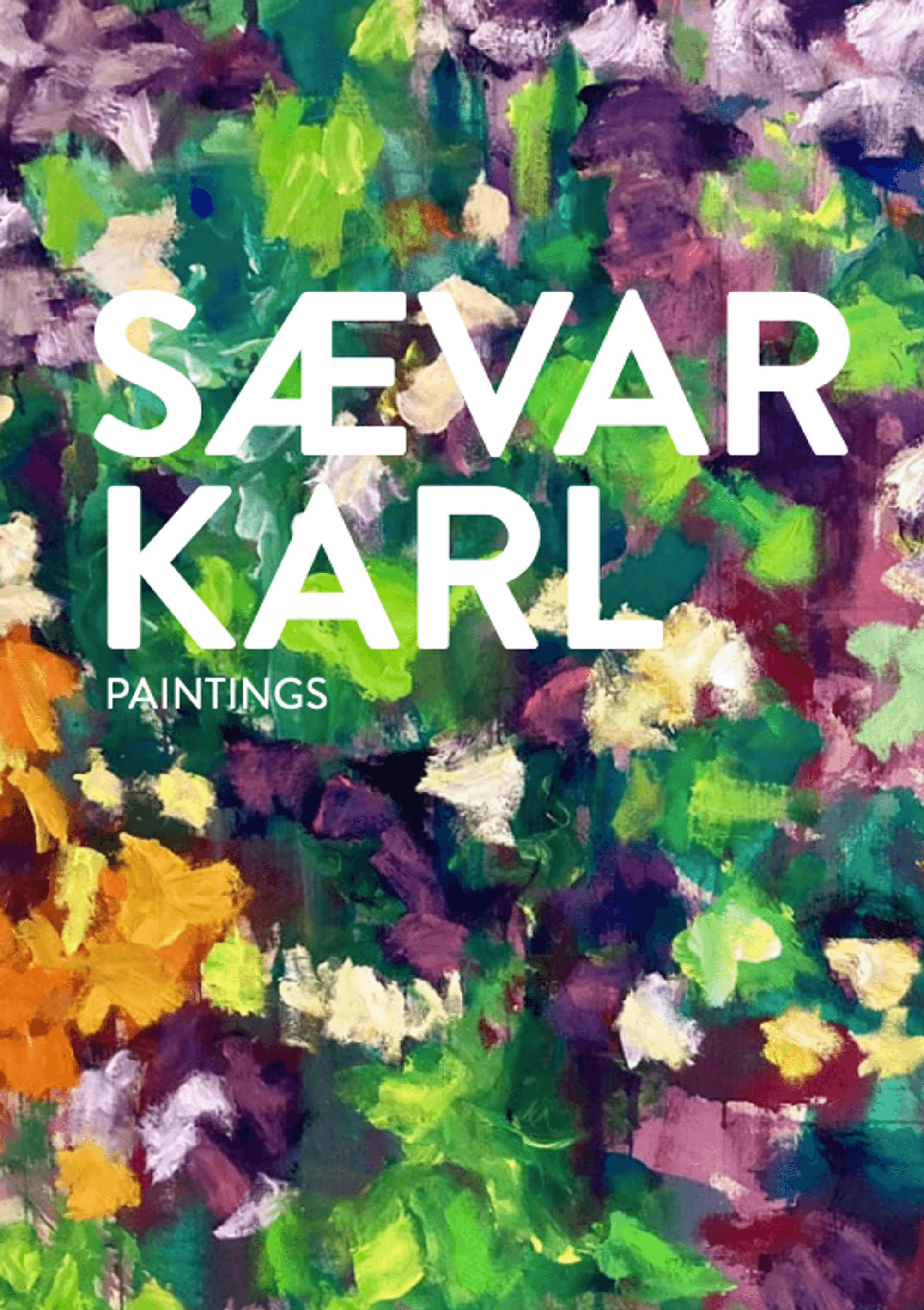 Sævar Karl, Paintings